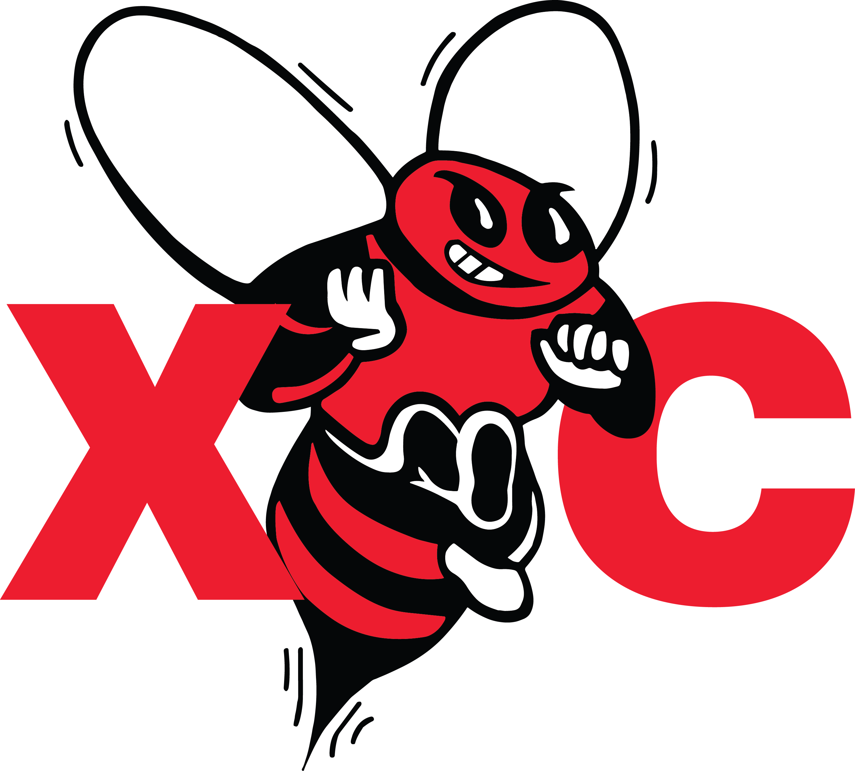 BVXC Bee Mascot — Cross Country